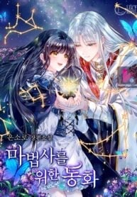 A Twist of Fate: A Wizard’s Fairy Tale cover