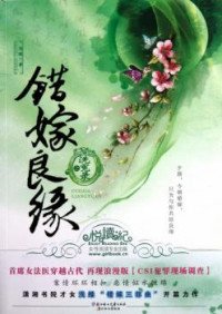Cuo Jia Liangyuan Zhi Xi Yuan Lu (Novel) cover