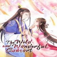 The Wild And Wonderful Consort cover